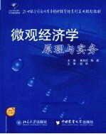 微观经济学原理与实务