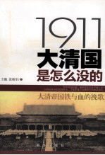 1991大清国是在没的