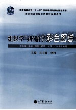 组织学与胚胎学彩色图谱