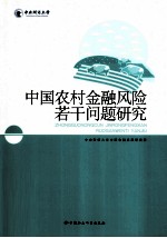 中国农村金融风险若干问题研究