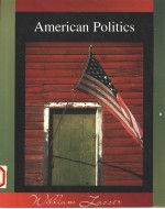 AMERICAN POLITICS INSTITUTIONS AND INTERCONNECTIONS