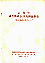 云南省崩龙族社会历史调查报告