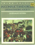 IN CONFLICT AND ORDER UNDERSTANDING SOCIETY THIRD EDITION