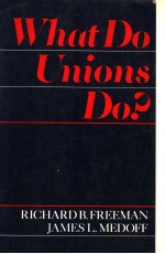 WHAT DO UNIONS DO?