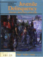 JUVENILE DELINQUENCY THIRD EDITION