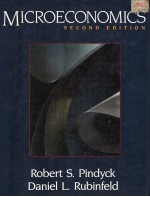 MICROECONOMICS SECOND EDITION