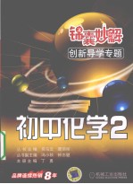 锦囊妙解创新导学专题 初中化学 2