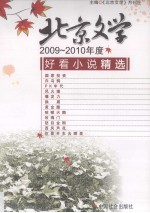 2009-2010年度北京文学好看小说精选