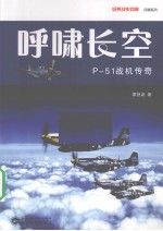 呼啸长空 P-51战机传奇