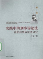 实践中的刑事诉讼法  隐形刑事诉讼法研究