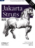 Jakarta Struts编程 第2版