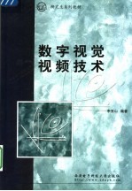 数字视觉视频技术