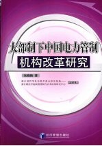 大部制下中国电力管制机构改革研究