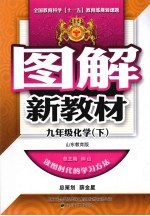 图解新教材 化学 九年级 下 山东教育版