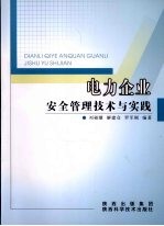 电力企业安全管理技术与实践