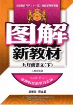 图解新教材 语文 九年级 下 人教实验版