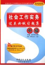 社会工作实务（中级）过关必做习题集