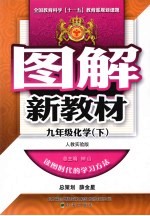 图解新教材 化学 九年级 下 人教实验版