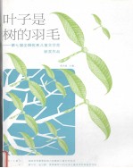 叶子是树的羽毛 第七届全国优秀儿童文学奖获奖作品