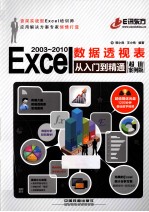 Excel 2003-2010数据透视表从入门到精通  超值案例版