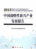 中国战略性新兴产业发展报告  2013