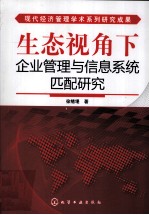 生态视角下企业组织与信息系统匹配研究