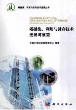 碳捕集、利用与封存技术  综述、进展与展望