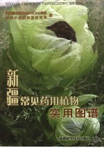 新疆常见药用植物实用图谱