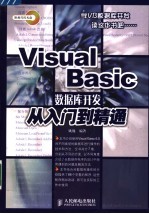 Visual Basic数据库开发从入门到精通