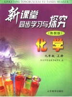 新课堂同步学习与探究 鲁教版 九年级化学 上