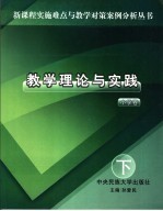 教学理论与实践 小学卷 下