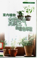 室内植物 充满生气的绿色环境