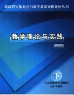 教学理论与实践 初中卷 下