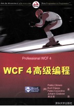 WCF 4高级编程