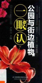 公园与街边植物一眼认