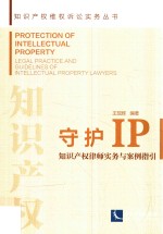 守护IP  知识产权律师实务与案例指引