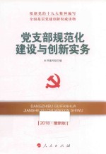 全国基层党建创新权威读物 党支部规范化建设与创新实务 2018最新版