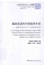 城镇化进程中的海西乡镇 福建省莆田市江口镇调查报告