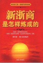 新浙商是怎样炼成的 来自浙江第一镇杨汛桥的报告