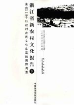 浙江省新农村文化报告 下 来自118个行政村农民文化生活的田野调查