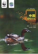 中国湿地水鸟 Waterbirds in China eng