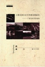 少数民族社会可持续发展研究 一个政治经济学视角