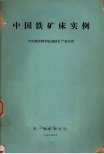 中国铁矿床实例  《我国铁矿找矿方向探讨》附件  第一铁矿研究队