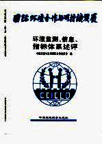 环境监测、信息、指标体系述评