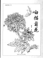 从起步到入门 3 白描菊花