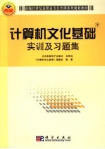 计算机文化基础实训及习题集 下