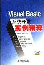 Visual Basic系统开发实例精粹