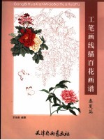 工笔画线描百花画谱 春夏篇