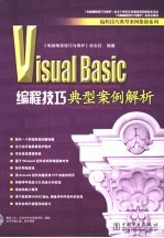 Visual Basic编程技巧典型案例解析