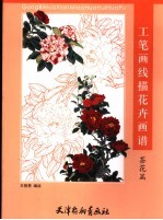 工笔画线描花卉画谱 茶花篇